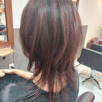 画像277