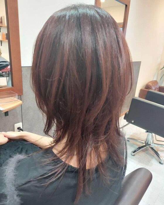 画像277